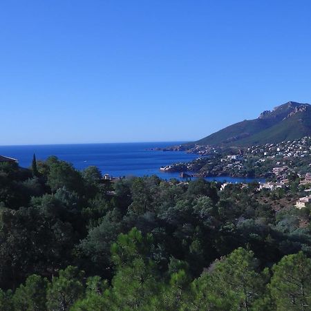 Ferienwohnung Cote d`Azur - Mandelieu Théoule-sur-Mer Exterior foto
